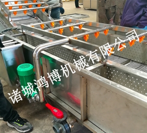 大姜清洗去皮機